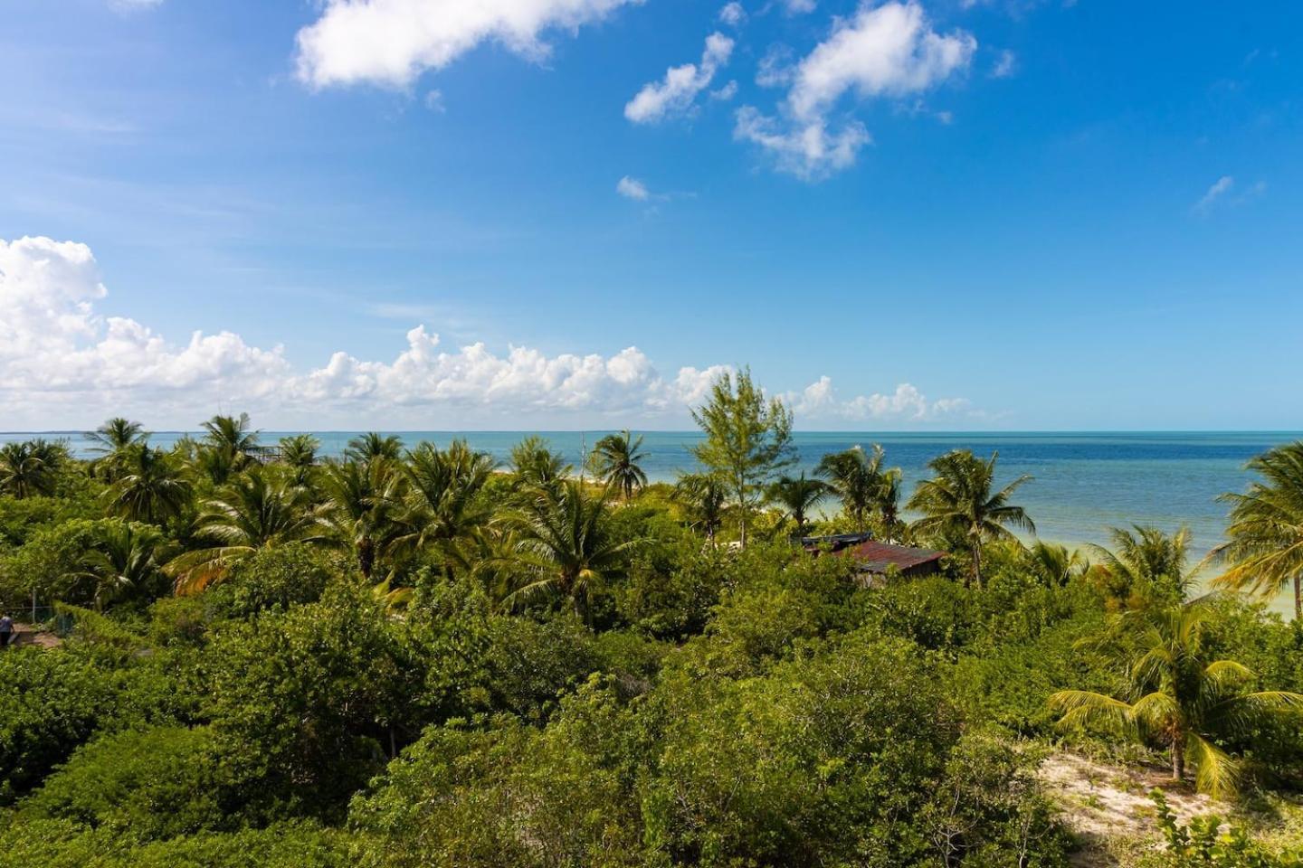 Hotel Beautiful Ocean View Penthouse With Private Pool -C301 Isla Holbox Exterior foto